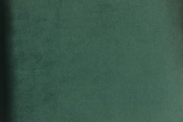 color4-velvet-33-green-the-hansen-family